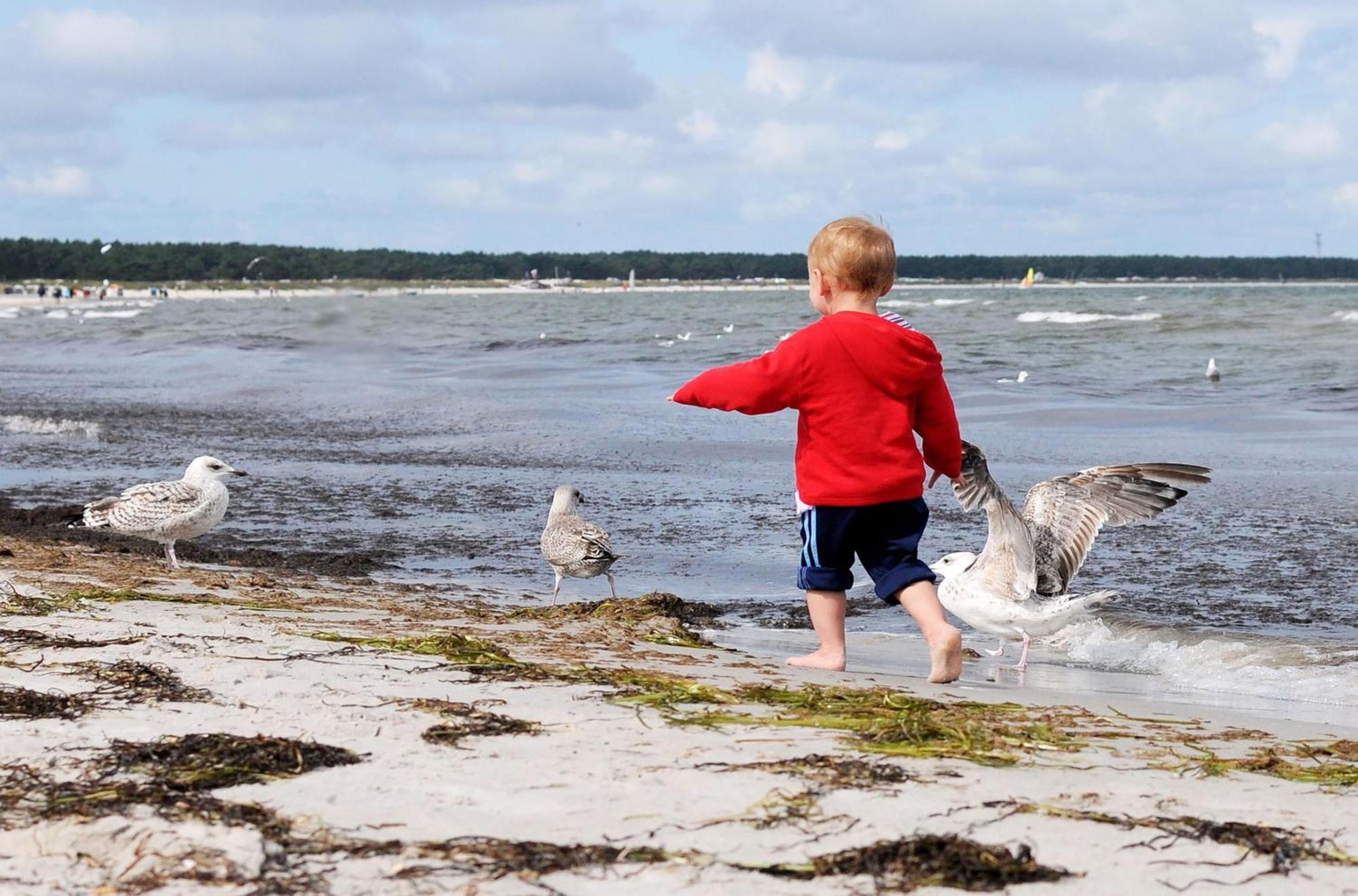 Strand Zingst Exterior foto